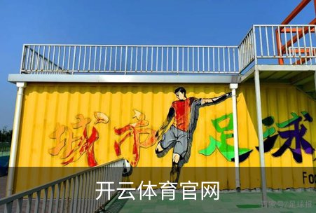 开云体育官网概况